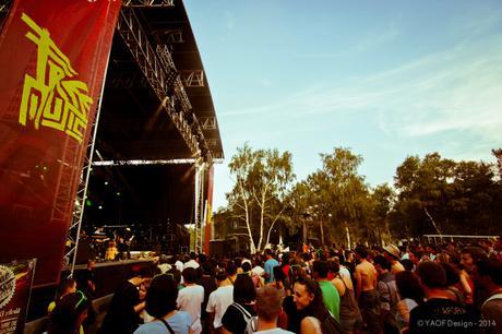 Free Music Festival : Le Phénix renaît de ses cendres pour la troisième fois Free Music Festival : Le Phénix renaît de ses cendres pour la troisième fois