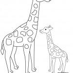 dessin de girafe
