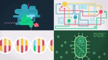 La vie la mort, où se situe la frontière