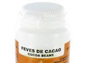 Cacaoyer Cacao