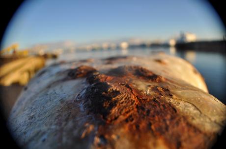 Bitte d'Amarrage Rouillée