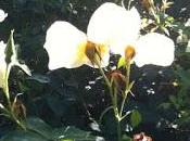 Changement, écosystème chaos