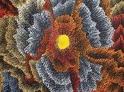 peinture aborigène exposée Parcours Mondes 2015