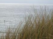 Nord Calais: N°3: Côte d'Opale