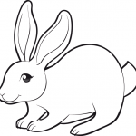 dessin de lapin