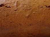 Pain d'épices levain