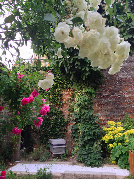 Tasty Tour Farrow & Ball Hôtel Clarance Lille via Nat et nature Tasty Tour Farrow & Ball aux couleurs de Lille