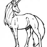 dessin de licorne