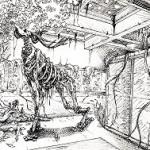 illustration encre de chine