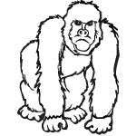 dessin de gorille