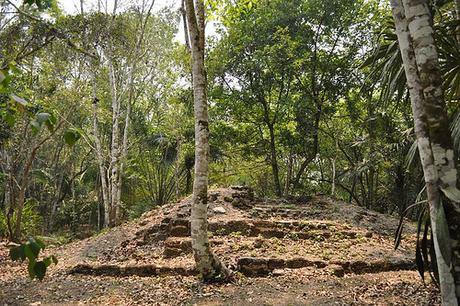Les archéologues découvrent une mystérieuse citadelle Maya