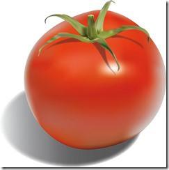 tomate_tomato_by_kryyshdg-d5nxhhv