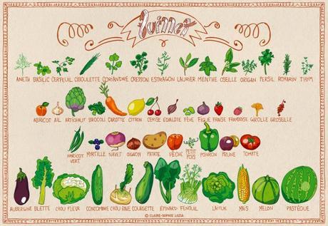 Calendrier des fruits et légumes en Juillet