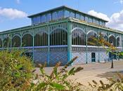 Brunch Electro Samedi, c’est oeuf plat, oeufs brouillés, oeuforie