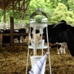 DESIGN : La nouvelle vache à lait