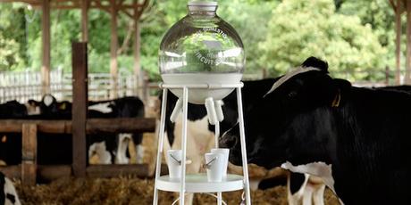 DESIGN : La nouvelle vache à lait