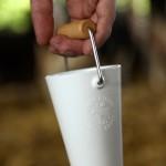 DESIGN : La nouvelle vache à lait