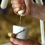 DESIGN : La nouvelle vache à lait