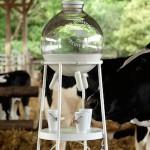 DESIGN : La nouvelle vache à lait