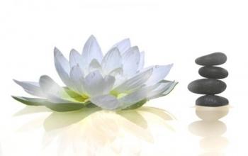 13752603lotus-galets-jpg