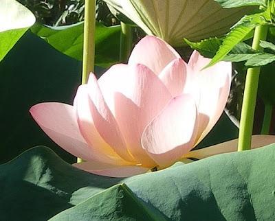 Dans le temple - Kim Mi-hye & Choi Mi-ran Dans le temple - Kim Mi-hye & Choi Mi-ran