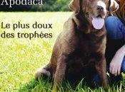 plus doux trophées Jennifer Apodaca