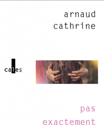 Pas exactement l\'amour par Arnaud Cathrine