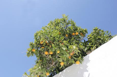 Hospedaria_Convento_de_la_parra_blog_DECOuvrir_design