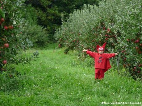 Notre Sam Sam à la ferme Gaston Drouin, Île d'Orléans