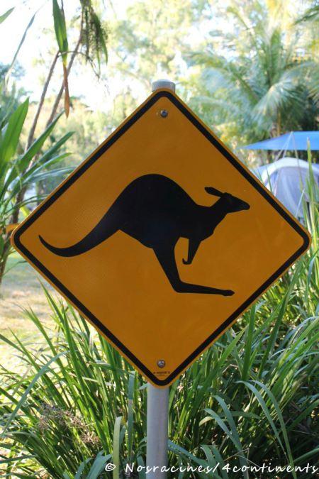 Les panneaux typiquement australiens
