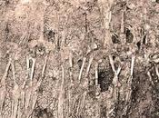 Etat-Unis: Cahokia était cité étonnament diversifiée