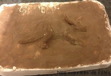 Box Handy & Cie - A la découverte des dinosaures