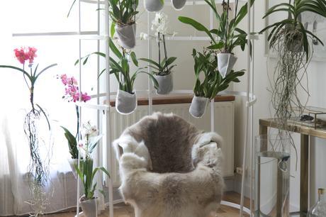 Idées déco / L’orchidée par Patrick Nadeau patrick_nadeau_chez_atelier_de_curiosite (20 sur 21)