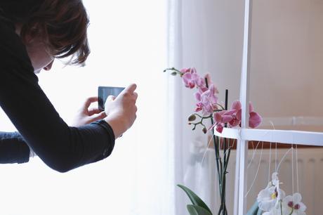 Idées déco / L’orchidée par Patrick Nadeau patrick_nadeau_chez_atelier_de_curiosite_installation (29 sur 31)