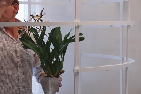 Idées déco / L’orchidée par Patrick Nadeau patrick_nadeau_chez_atelier_de_curiosite_installation (16 sur 31)