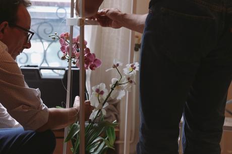 Idées déco / L’orchidée par Patrick Nadeau patrick_nadeau_chez_atelier_de_curiosite_installation (21 sur 31)
