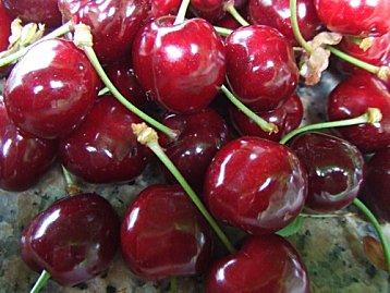 Le temps des cerises