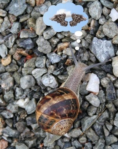 Image hébergée par servimg.com