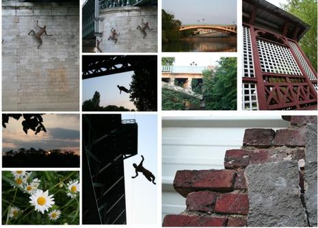 Image hébergée par servimg.com