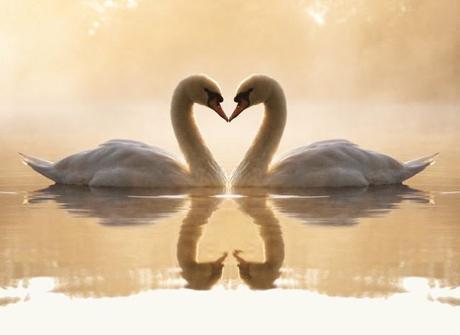 Engagement vivant...