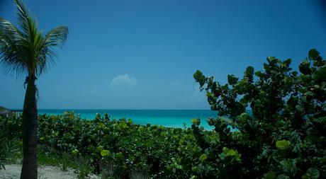 Petit coin du ciel Petit coin du ciel