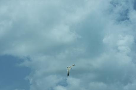 Petit coin du ciel Petit coin du ciel