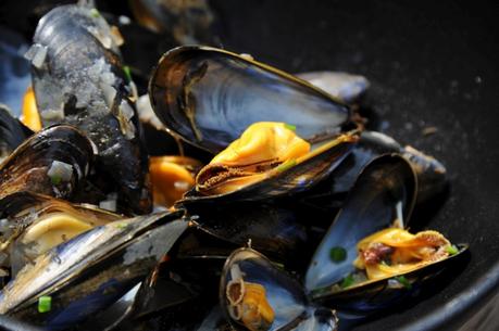 Charente-Maritime : la moule label rouge est arrivée
