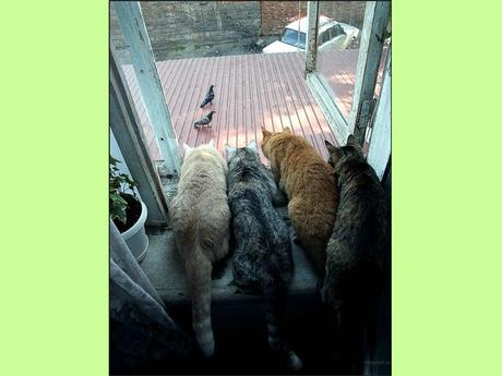 Blagues - Drôles d'images - 2