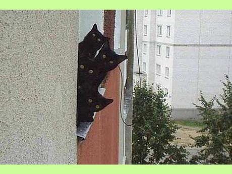 Blagues - Drôles d'images - 2