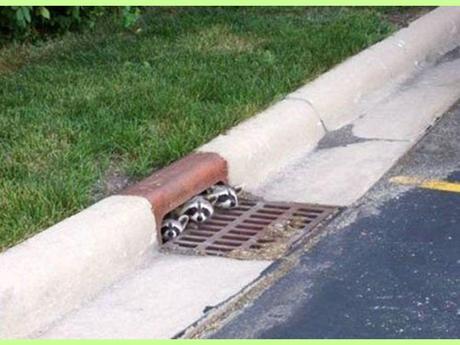 Blagues - Drôles d'images - 2