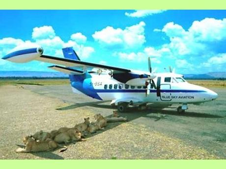 Blagues - Drôles d'images - 2