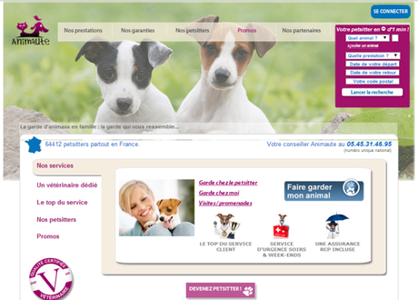 Une nounou pour les chats (=^ェ^=)