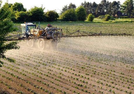 Un agriculteur épand des pesticides sur un champ de pommes de terre, dans le nord de la France, en 2012