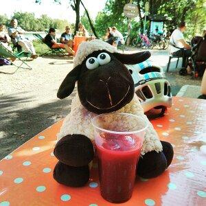 Saint-Jacques à vélo: de Vendôme à Tours, le long des rivières...